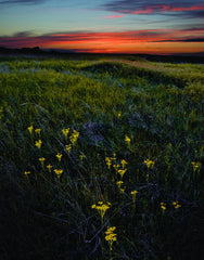 Badlands at Sundown