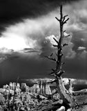 Bryce Canyon I